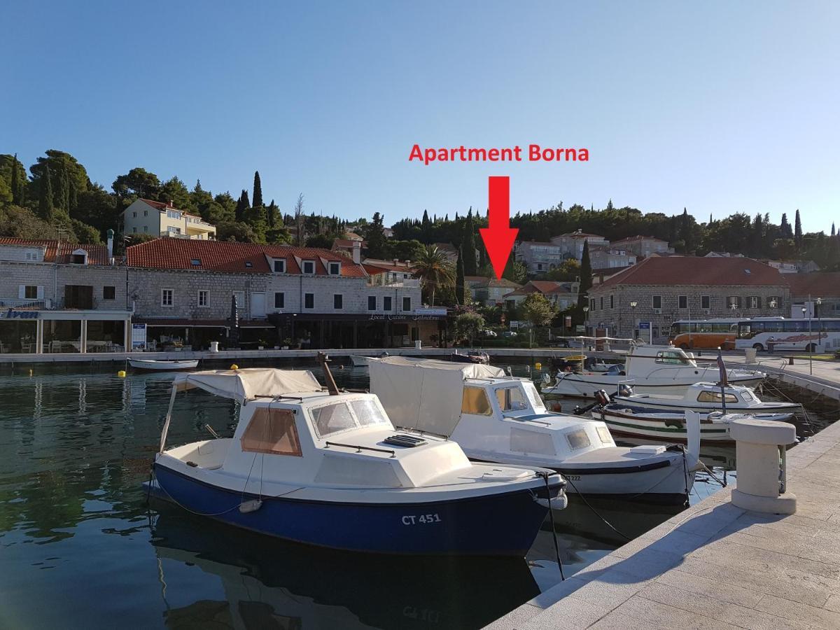Apartment Borna Cavtat Eksteriør billede