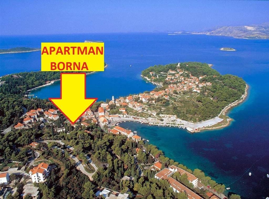 Apartment Borna Cavtat Eksteriør billede